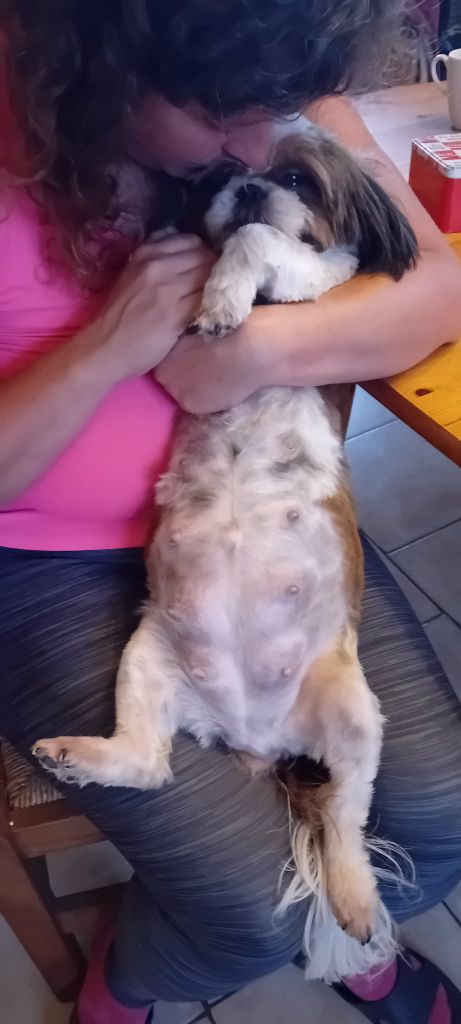 des bébés verront le jour prochainement (début Octobre)! 